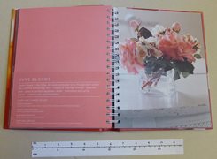 Unused Birthday Planning Book