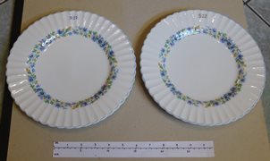 Two 'Alpine Mist' Floral Pattern English Ironstone Side Plates