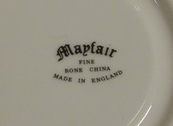 Mixed Fine Bone China Teacup and Saucer