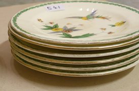 Thirteen Wonderful Bird/Floral Side Serving Plates