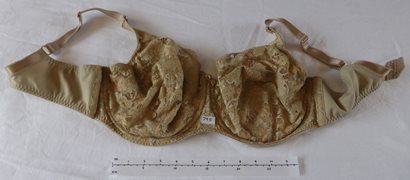 'Fantasie' Bra, Size 40F