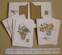 Pack of Unused Cards and Envelopes