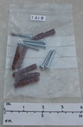 Miscellaneous Pack of Six Unused Crosshead Screws and Rawplugs