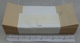 Large Quantity of Legal Envelopes