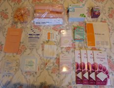 Collection of Unused Chiropody Aids and Supplies
