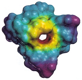 [Molecular Modelling With Extreme Graphics]